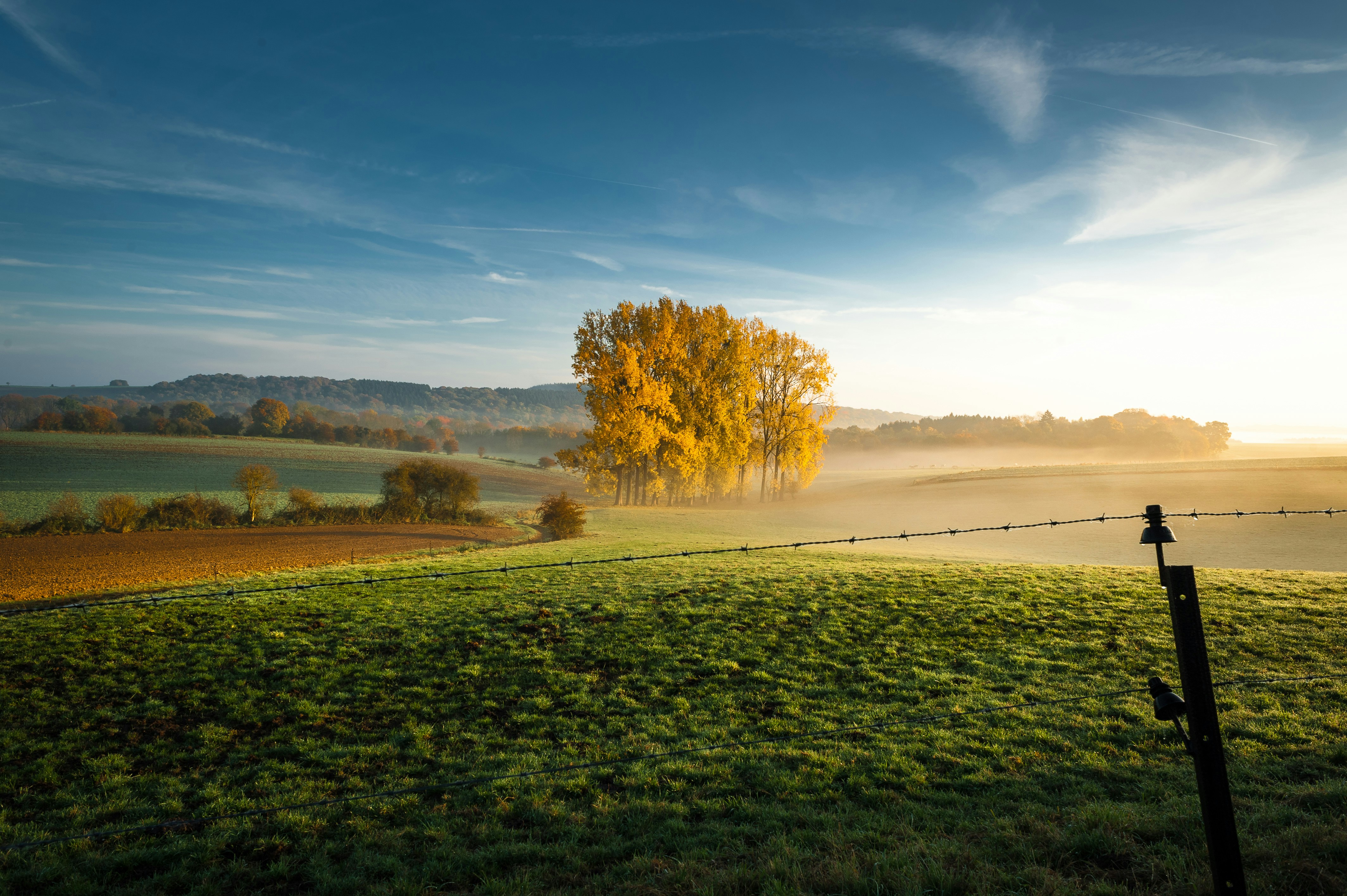 Herbstliche Landschaft in den belgischen Ardennen mit Nebel